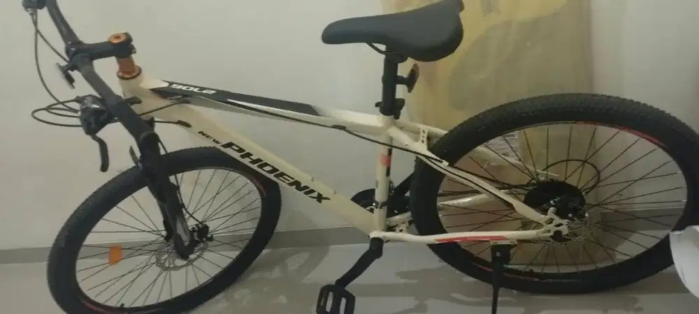 SEPEDA PHOENIX BARU