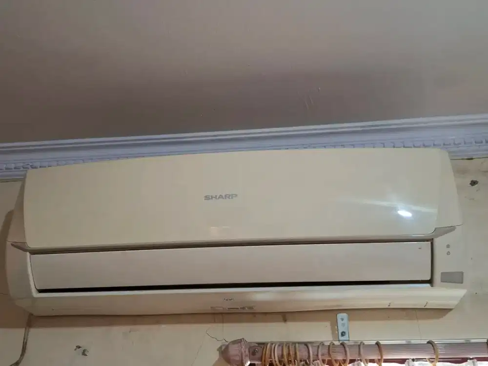 Ac Sharp 1/2 pk Bekas