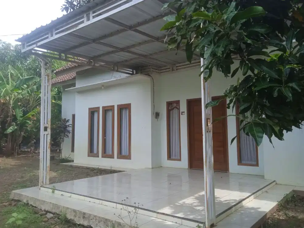 RUMAH LELANG SHM TANAH LUAS 378 M² DI GROGOLAN, DUKUHSETI, PATI – HARGA 250 JUTA
