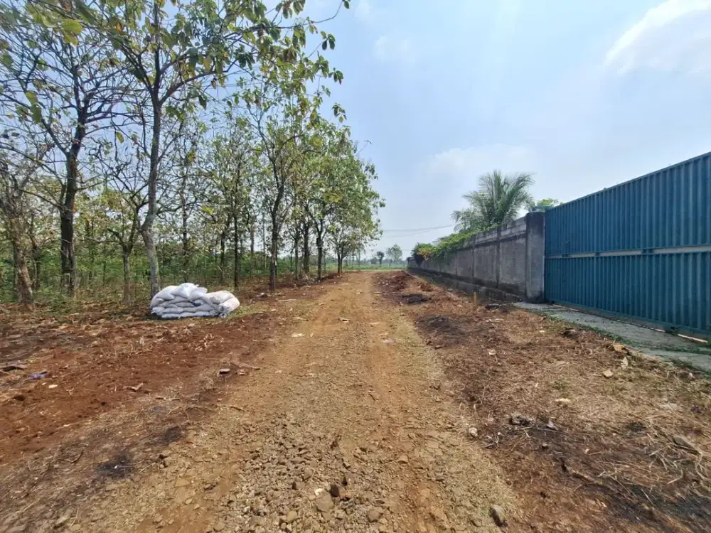 Tanah Murah Bomang - SHM 100Jtan - Dekat RS Harapan Sehati - Cocok Invest/Hunian