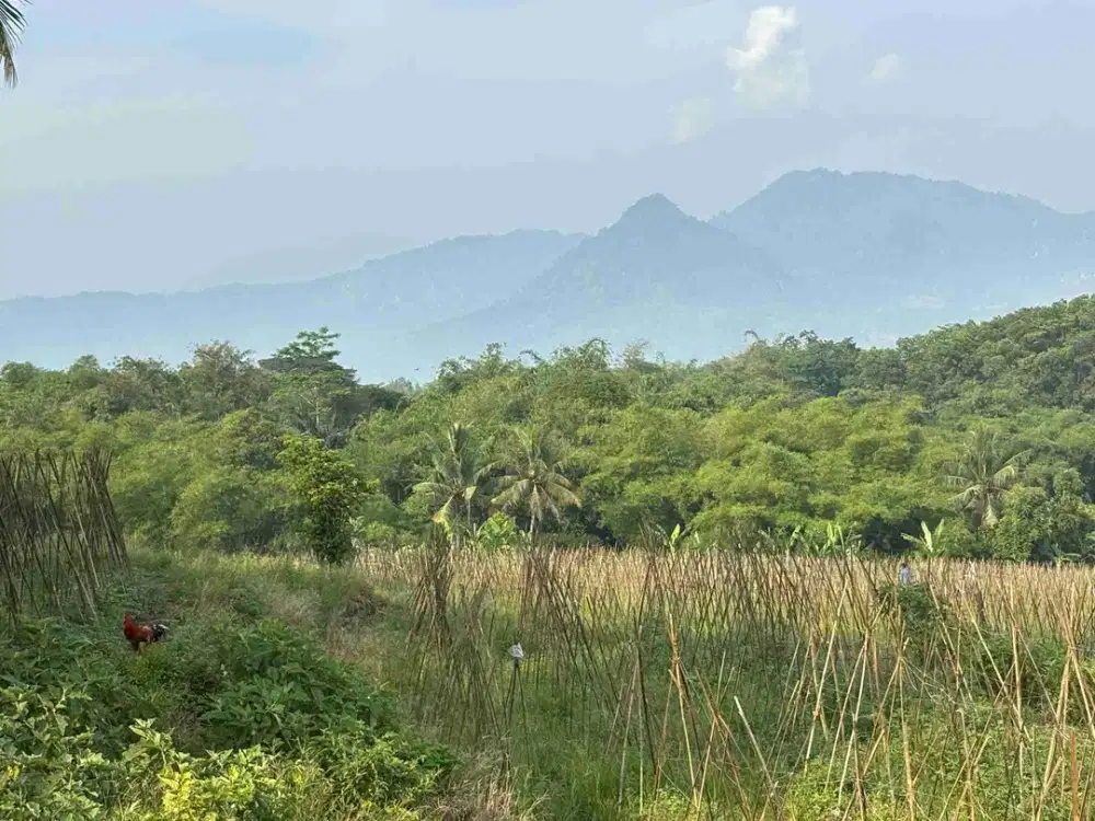 Lahan 2,7 Hektar Strategis View Gunung Asri di Bogor Timur