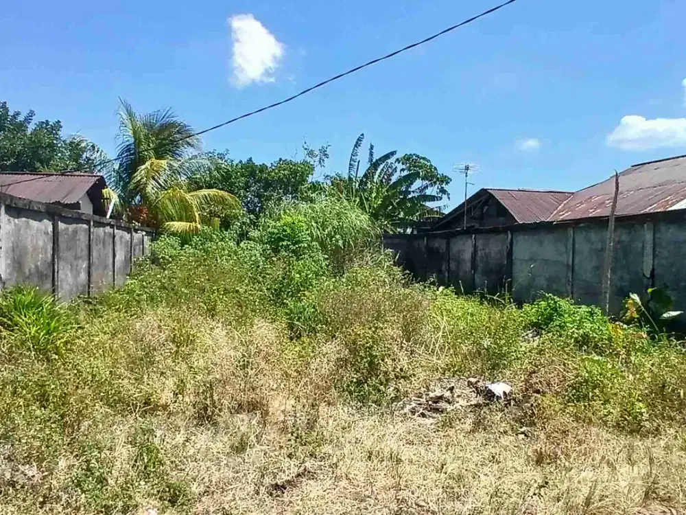 Dijual cepat tanah di paniki bawah
