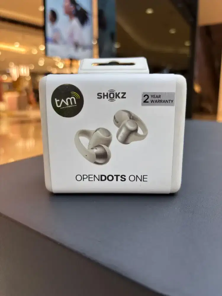Shokz Opendots one Grey