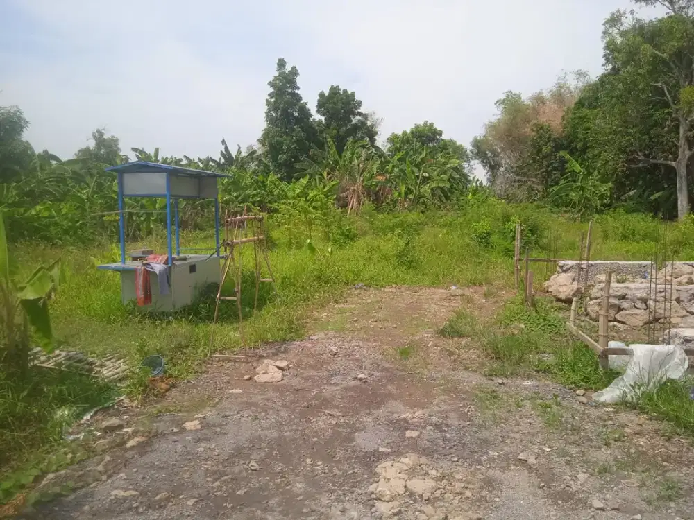 TANAH LELANG SHM SELUAS 710 M² DI BLERONG, GUNTUR, DEMAK – HARGA Rp300 JUTA