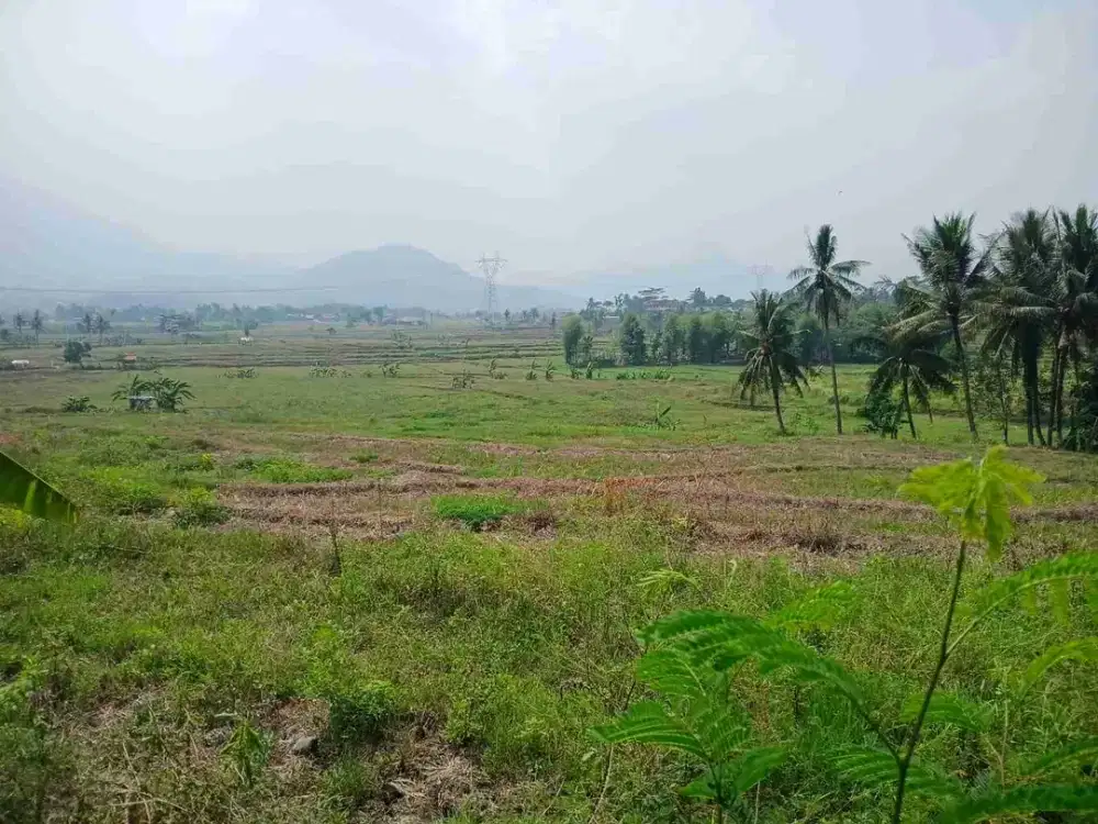 ​Tanah Sawah Potensial Bisa Darat View Gunung di Tanjungsari Bogor