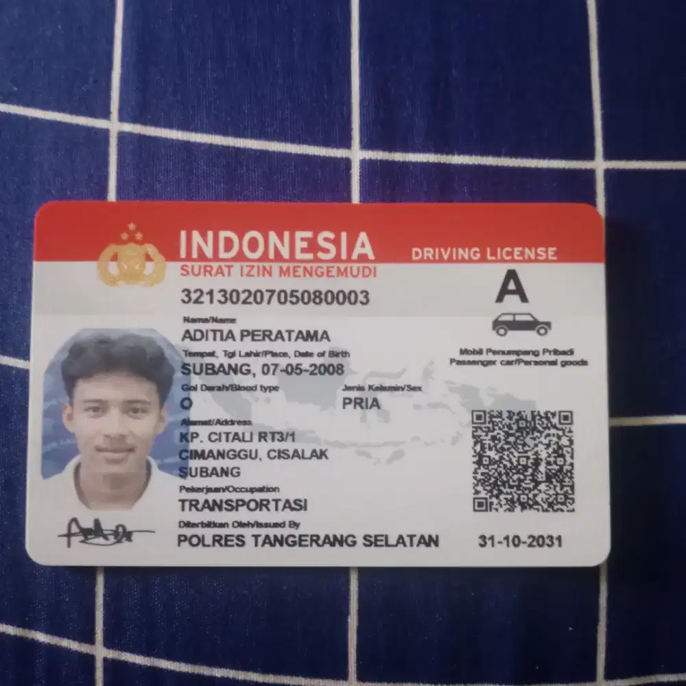 Driver pribadi/harian