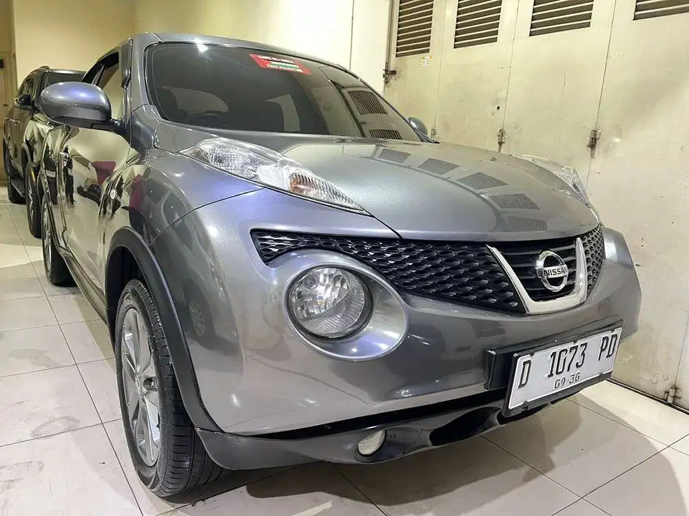 Nissan Juke 2013 RX