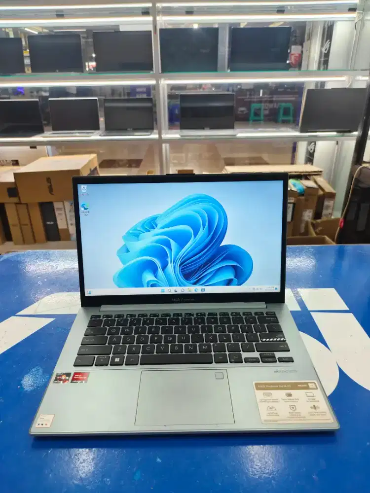 Asus vivobook go ryzen 3