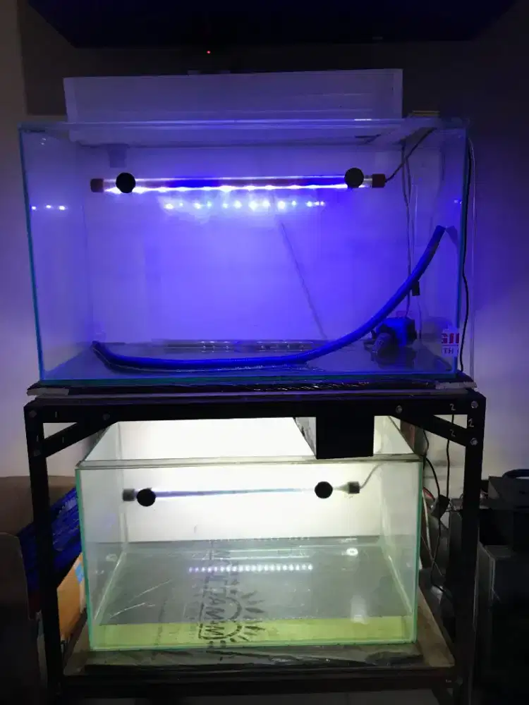 akuarium dan rak