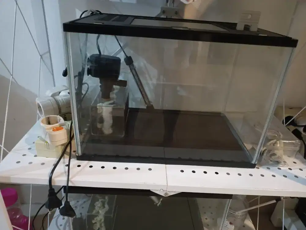 Aquarium Gex Ikan (Include filter dalam dan lampu)