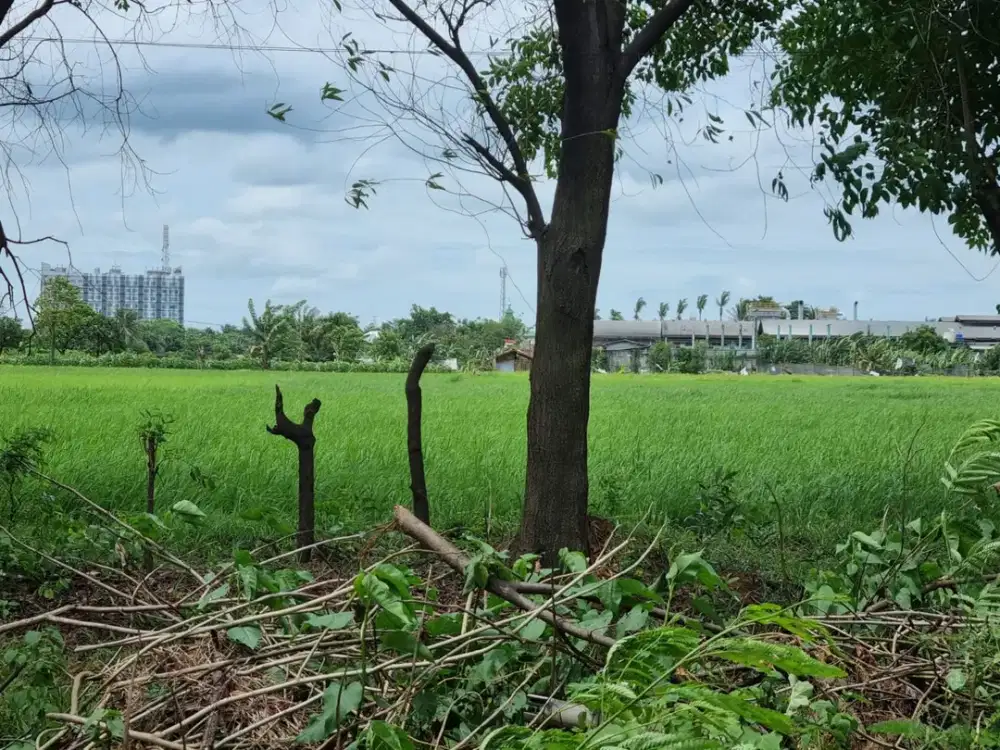 Dijual Tanah di Kawasan Industri Cikande