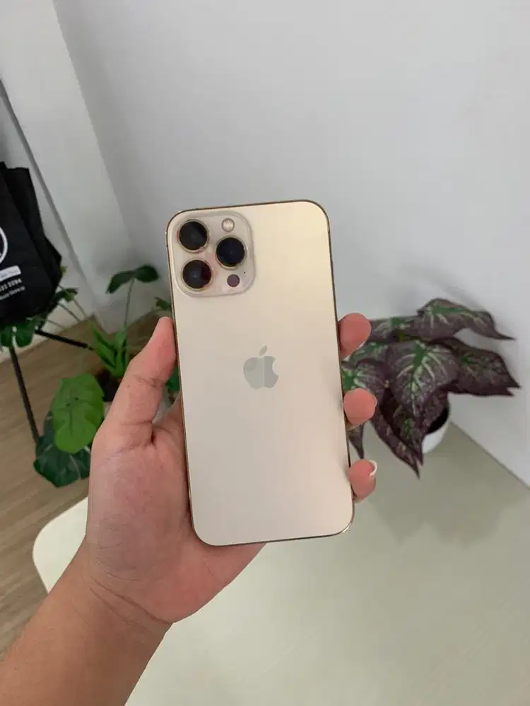 iPhone 13 Promax 1Tb