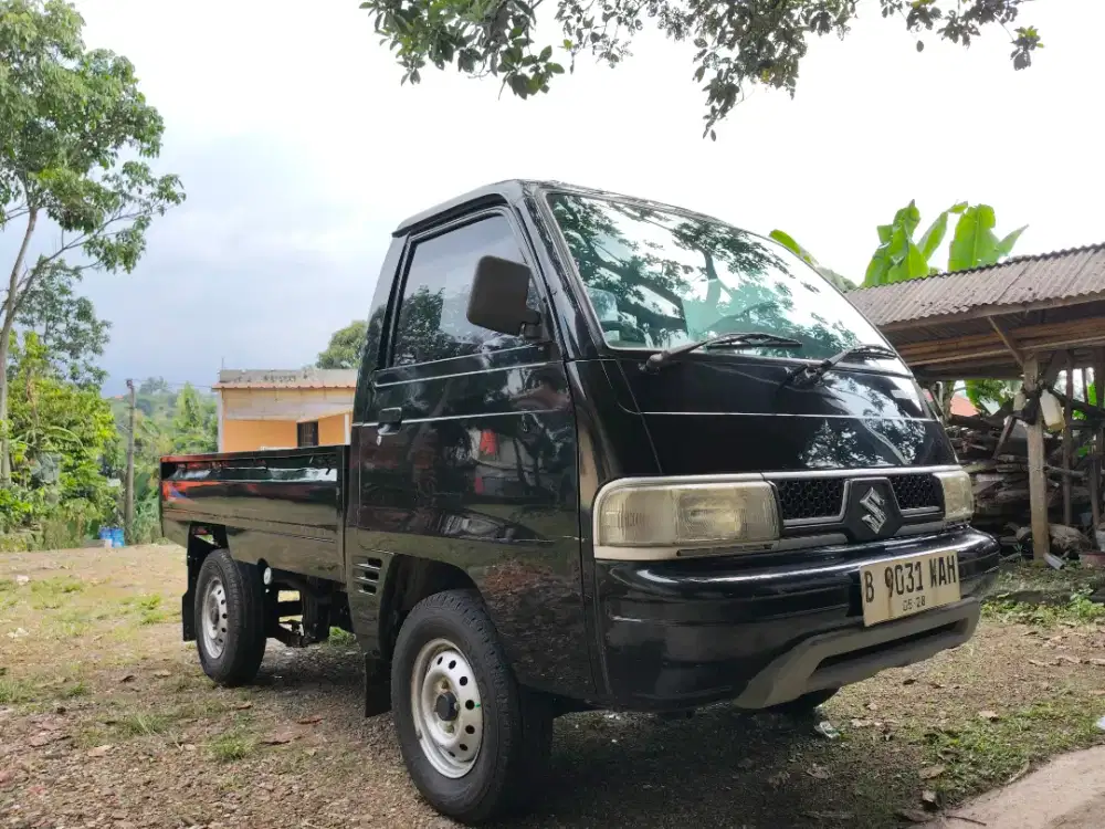 Carry Futura pick up original 2018