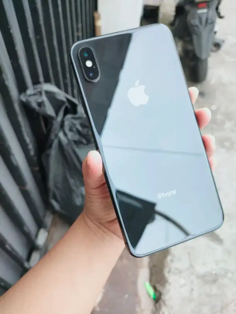 Xs Max 512Gb inter