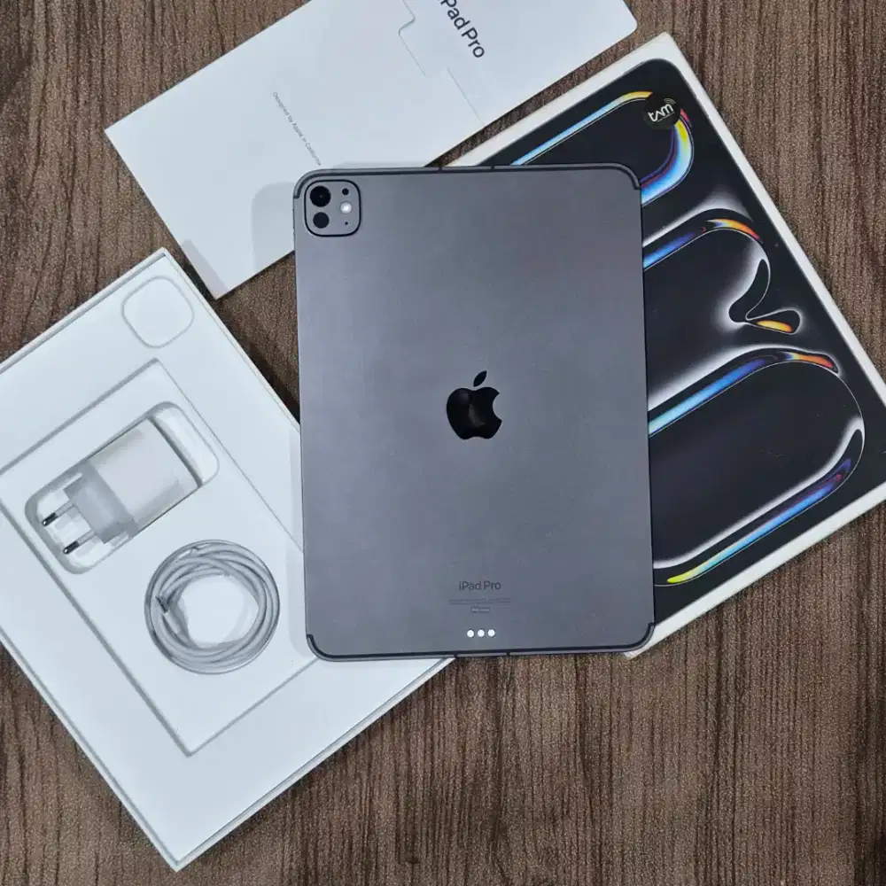 ipad pro m4 256GB 11 inch wifi celluler