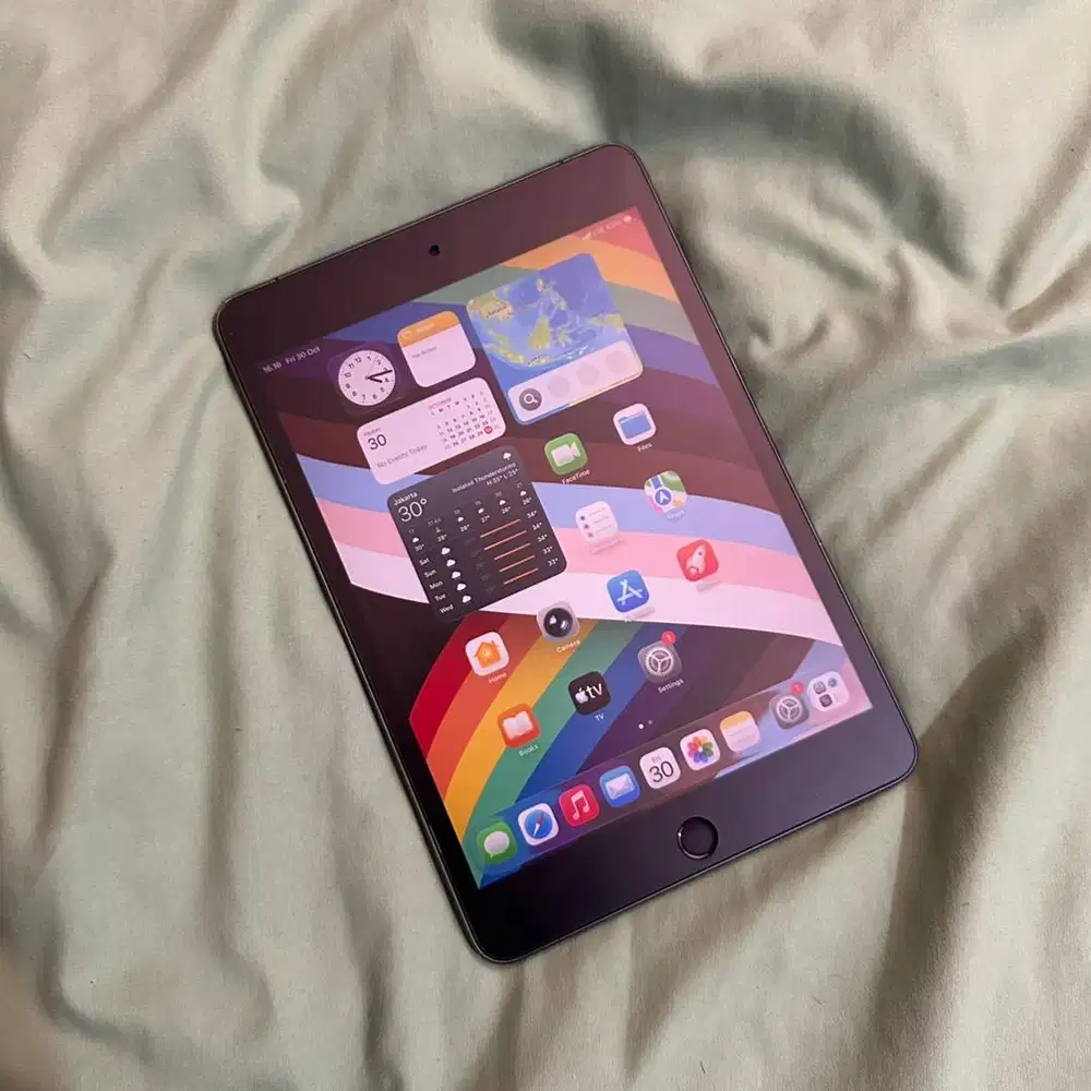 iPad Mini 5 64GB Wifi + Cell Bonus Case OTTERBOX