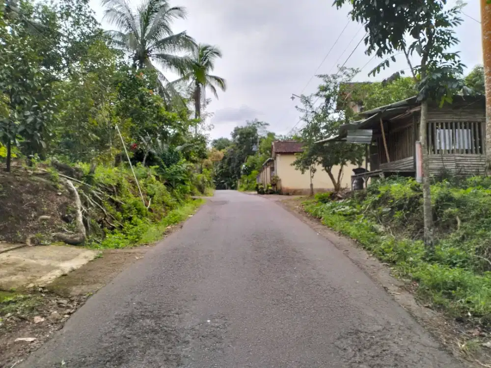 Kesempatan Beli Tanah Lelang di Temanggung Harga 1,6 M