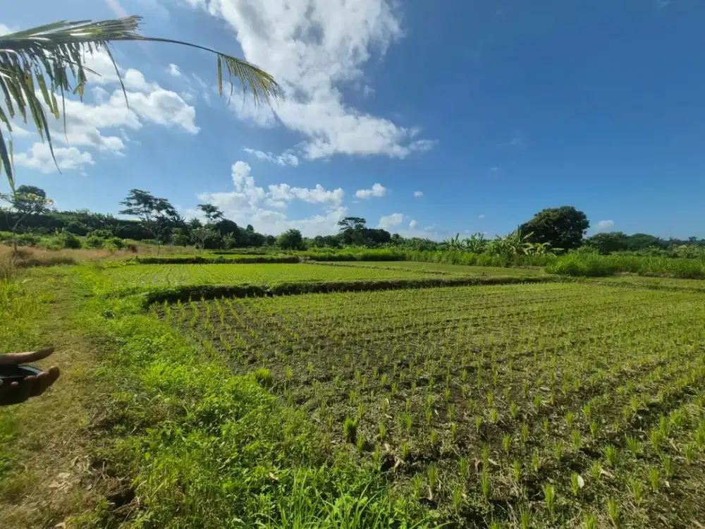 Dijual Tanah View Sawah Lokasi Tenang dan Sepi di Desa Keramas, Blahbatuh, Gianyar.