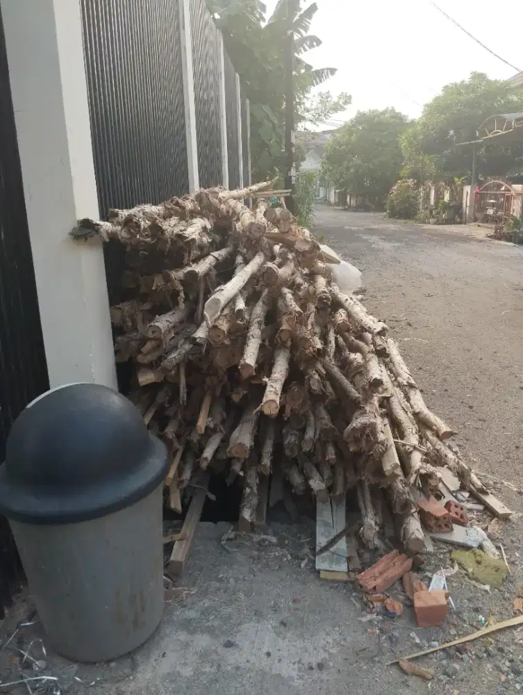 Jual Kayu Gelam bekas