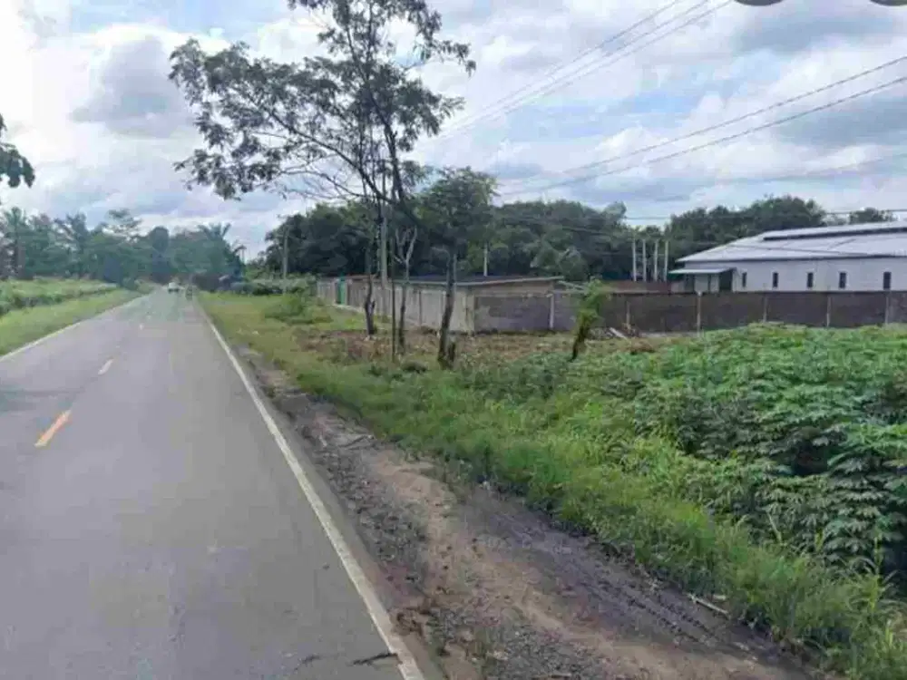 tanah pinggir lintas sumatera terbanggi besar