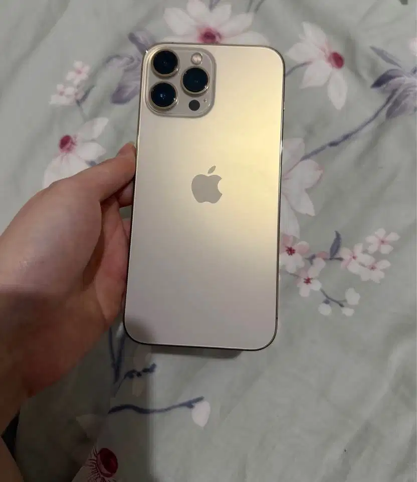Apple Iphone 13 Pro Max Gold 256GB