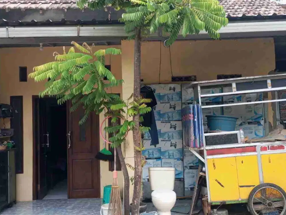 Rumah Murah siap Huni di Sidokepung, Buduran, Sda