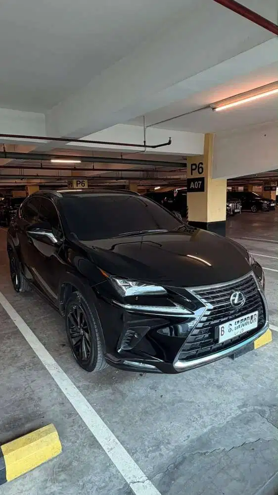Lexus NX300 2021 Bensin