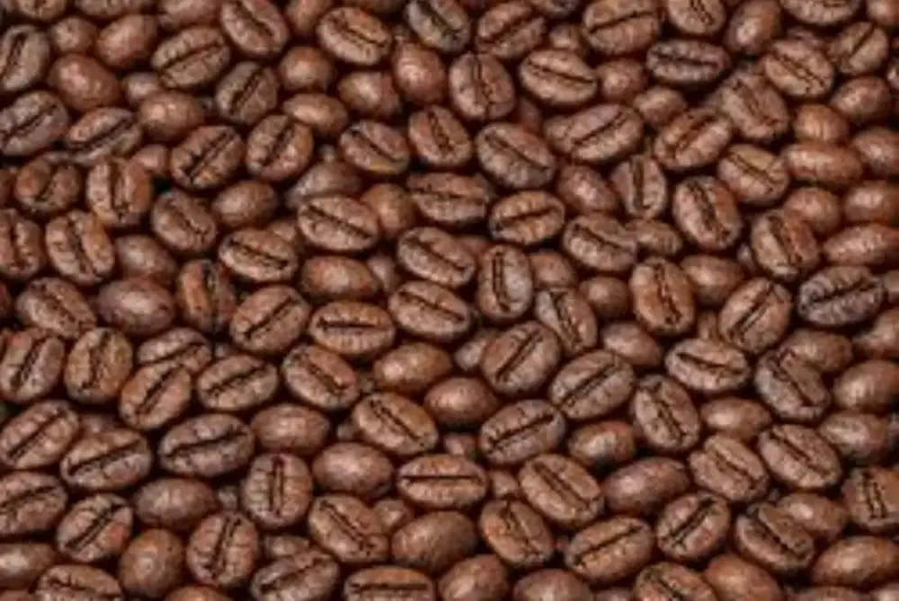 Lowongan kerja caffe