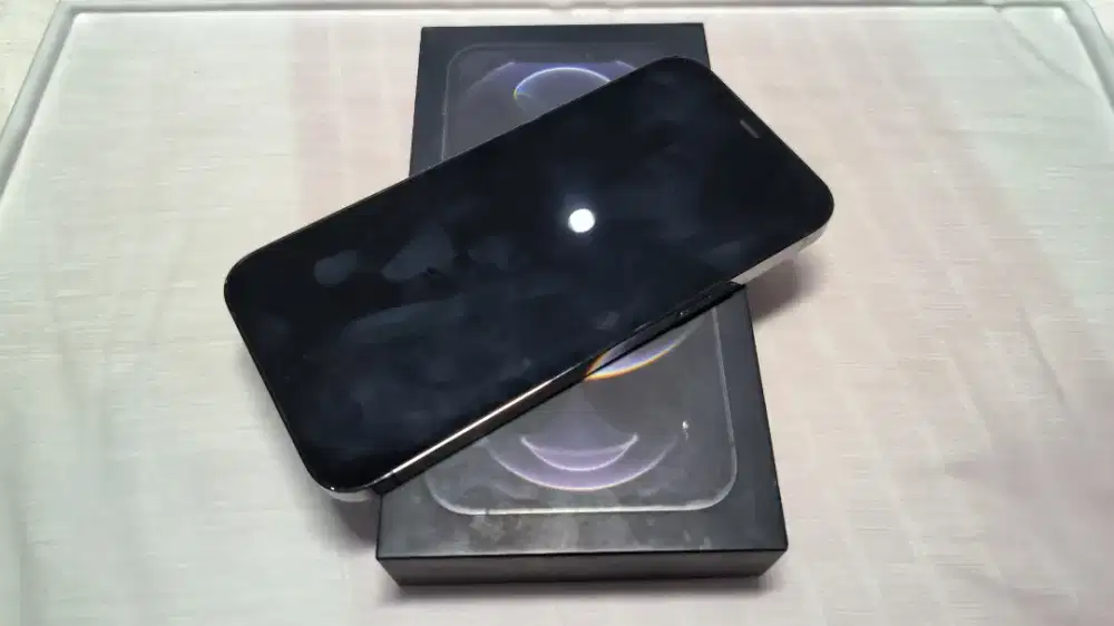 Iphone 12 Pro Resmi