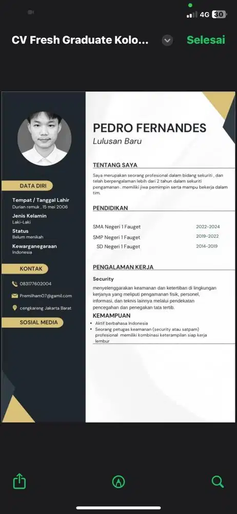 Mencari perkerjaan