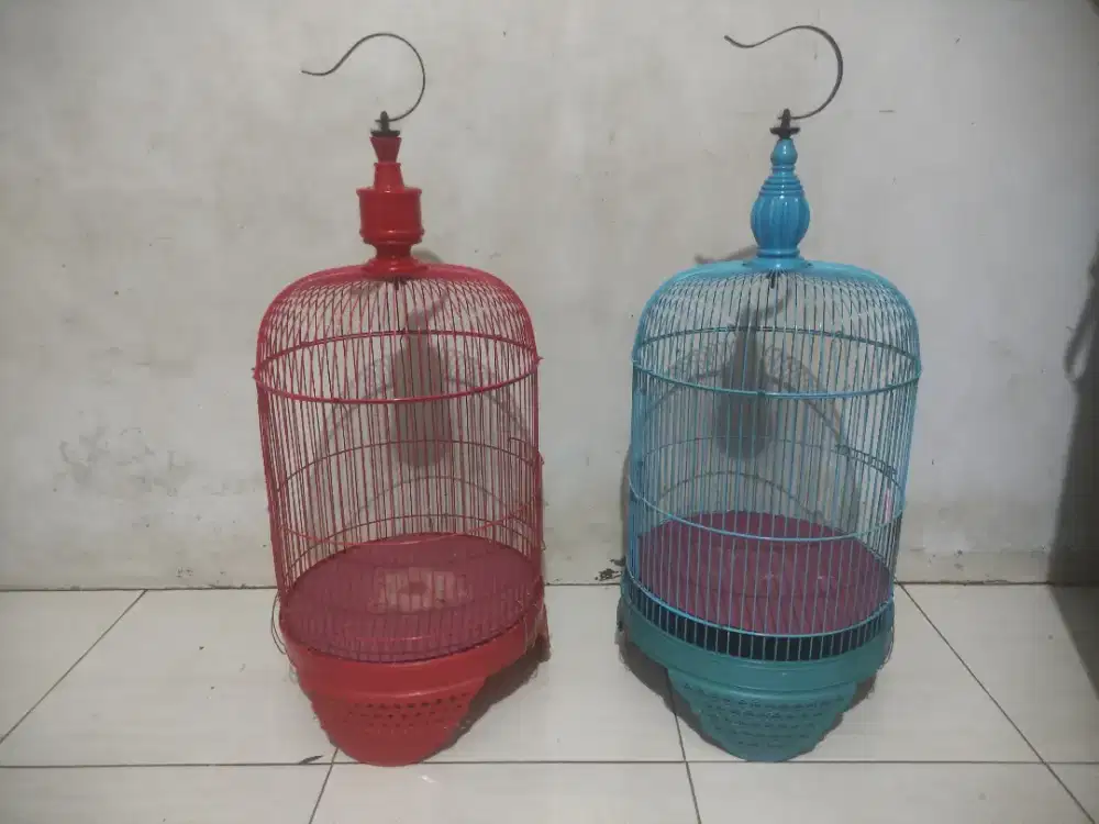 kandang lb tanggung