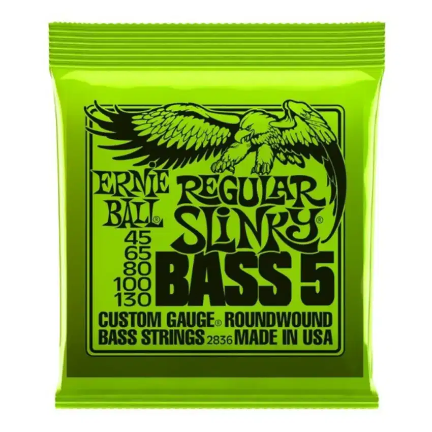 Ernie ball reguler slinky senar bass 5 strings