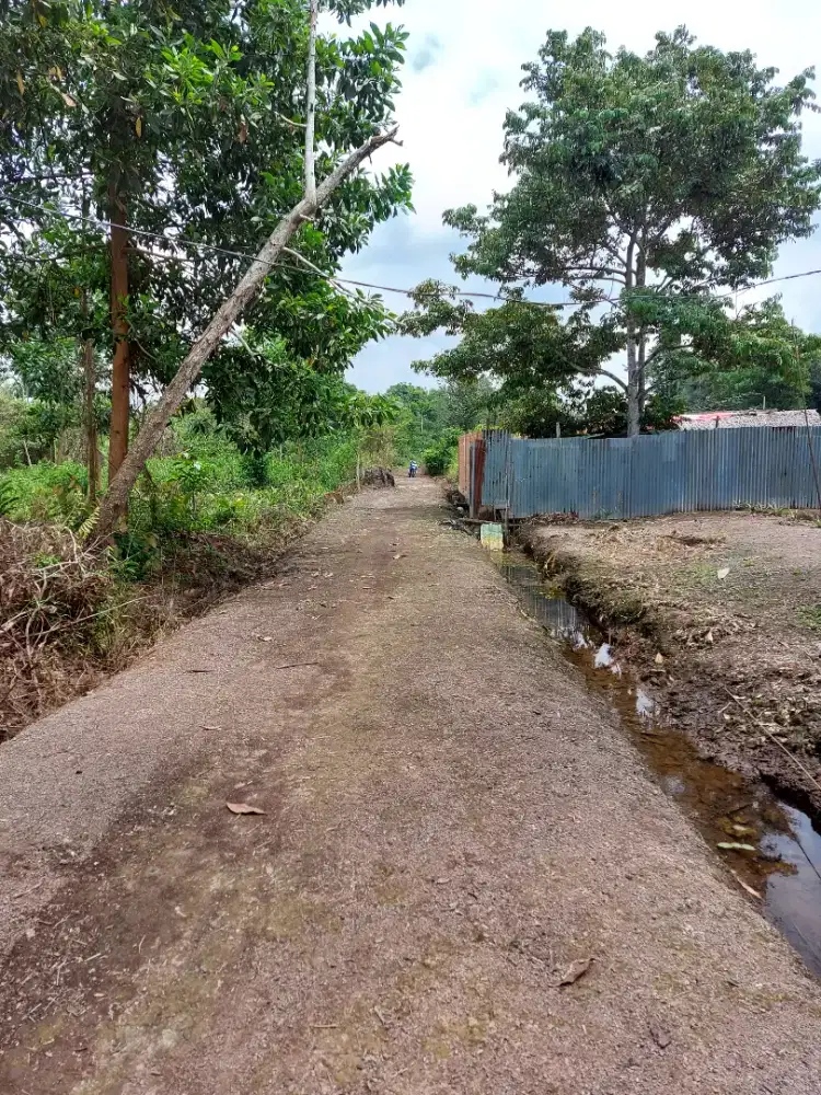 DiJUAL TANAH KOSONG 2 KAPLING,