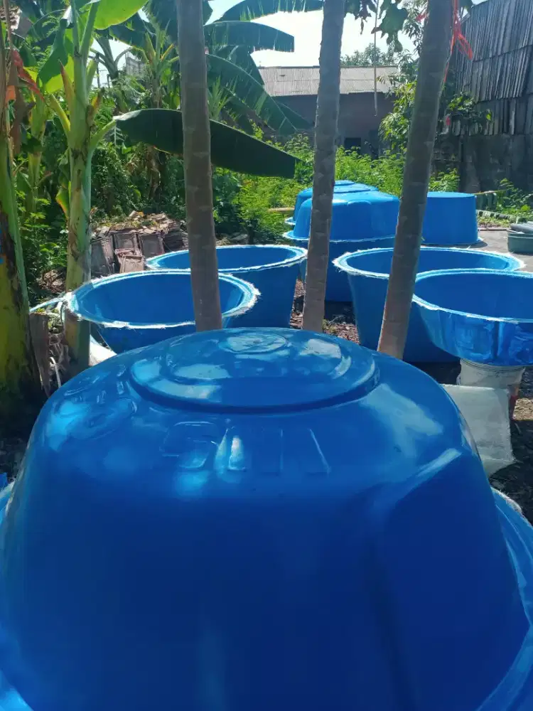 BIO septictank fiberglass