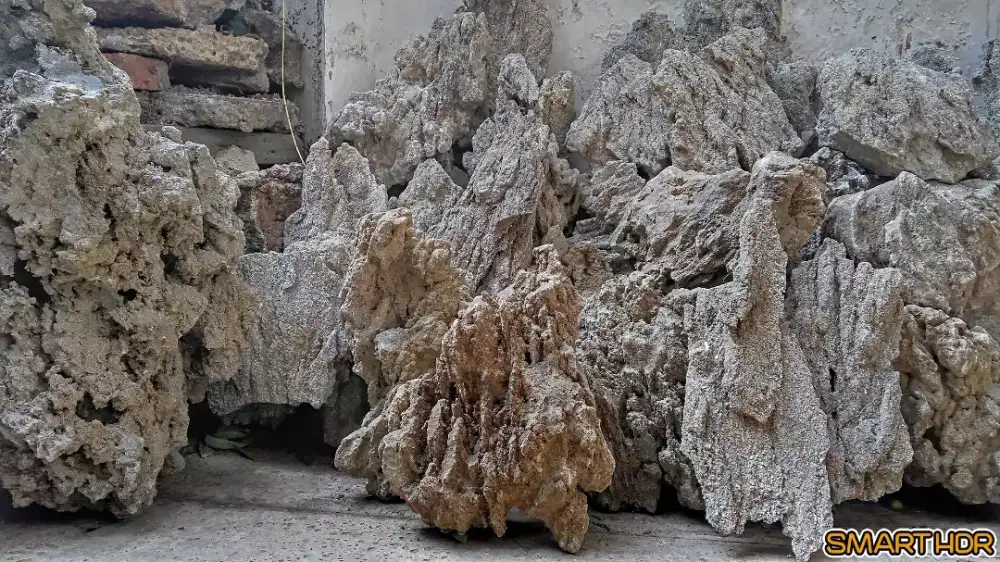 Batu Pasir Aquascape & Paludarium