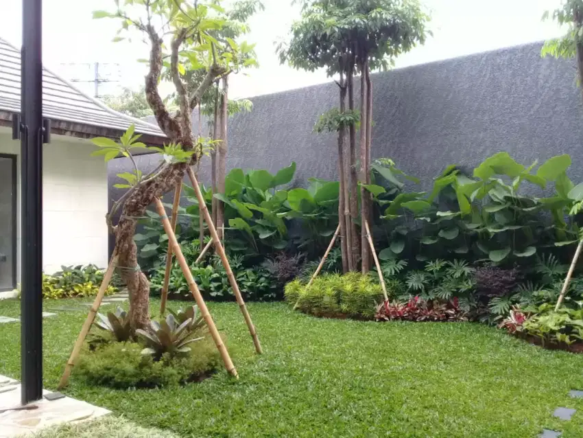 Tukang pembuatan taman baru dan renopasi