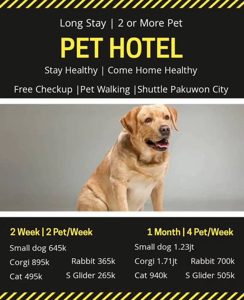 grooming anjing kenjeran