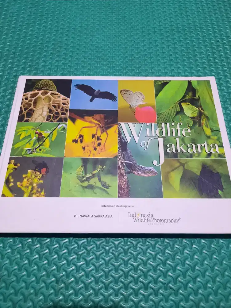 Buku Foto Wildlife of Jakarta