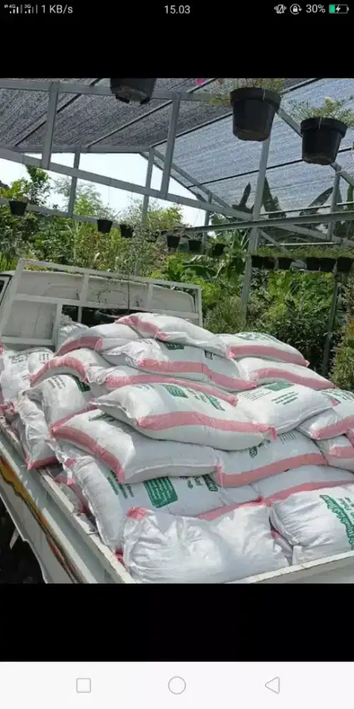 Media tanam dan pupuk organik