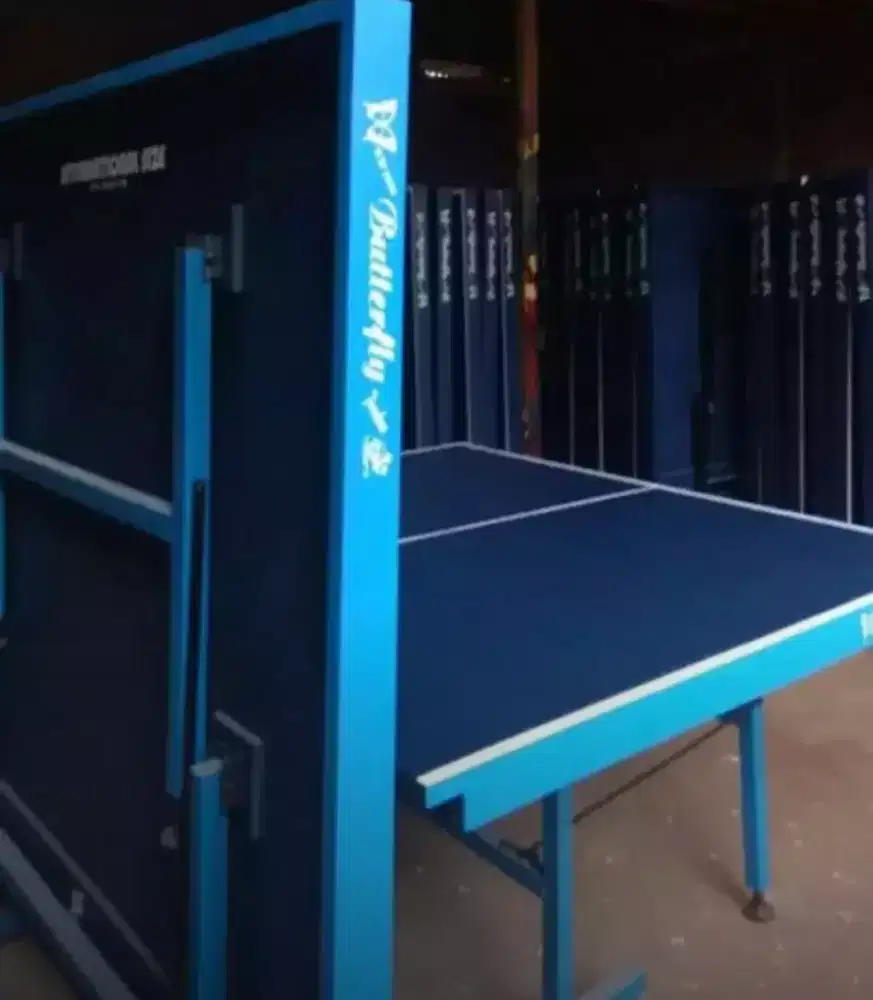 Meja tenis/ meja pingpong