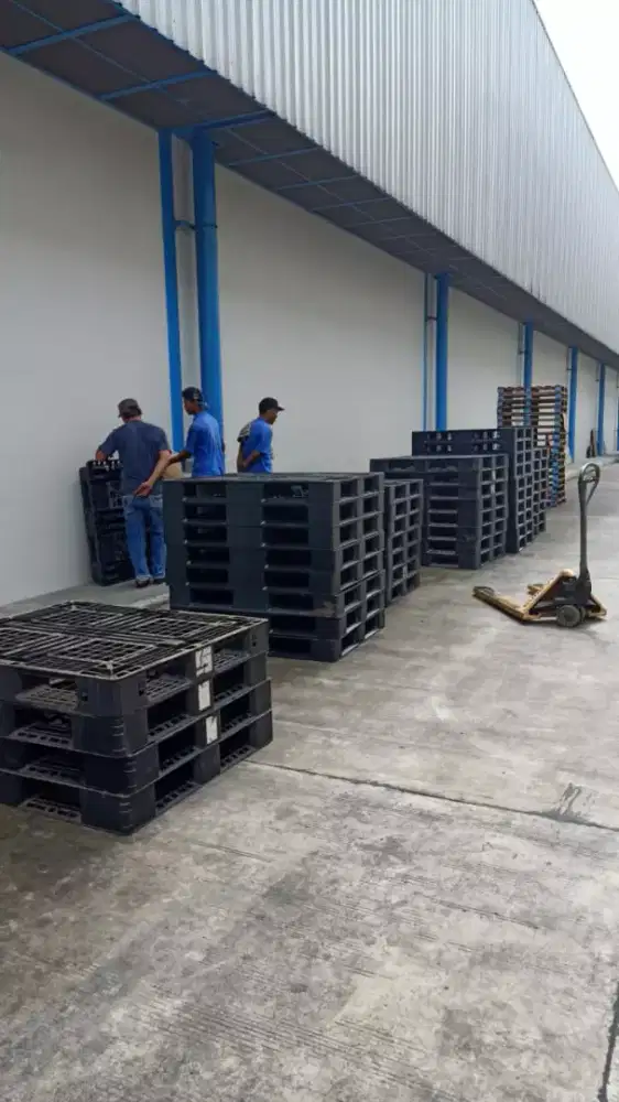 Pallet plastik palet plastik yoo