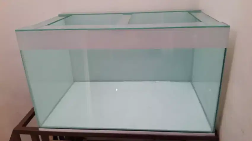 akuarium aquarium