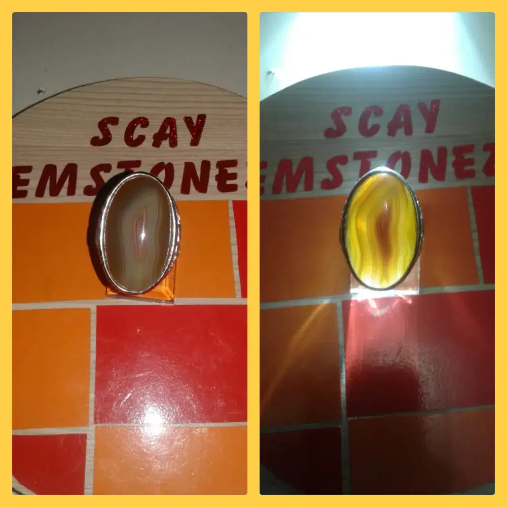 natural batu akik jungder kantong semar