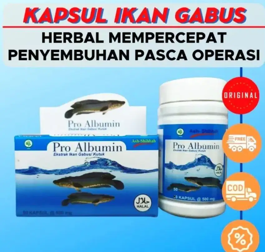 Pro Albumin GABUS KUTUK SOLUSI PASCA OPERASI