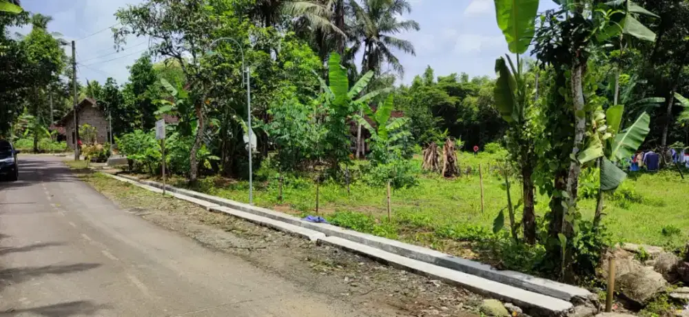tanah pekarangan sedayu argodadi