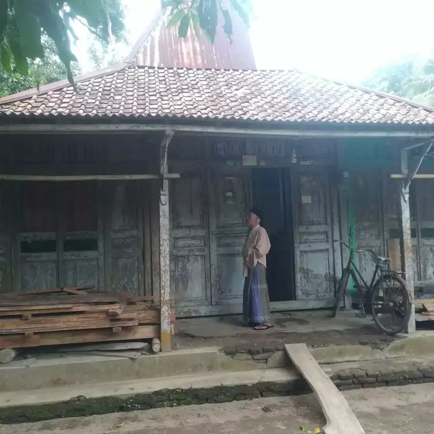 Bahan rumah joglo kayu nangka lawas