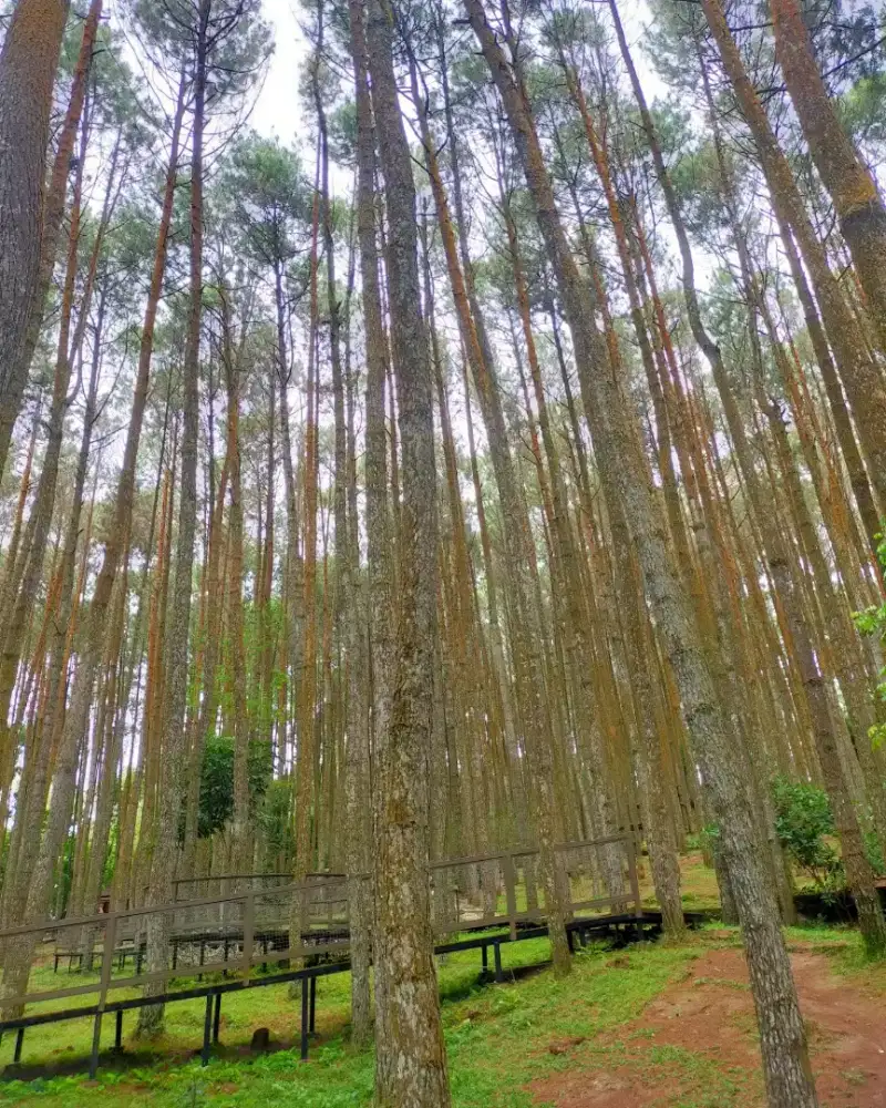 Jasa Perpajakan, Pembukuan & Admin Lainnya