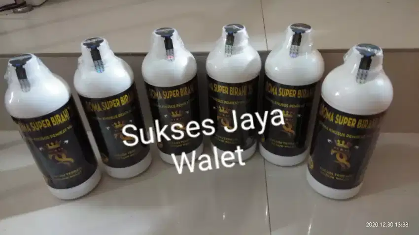 Parfume walet aroma super birahi 1L