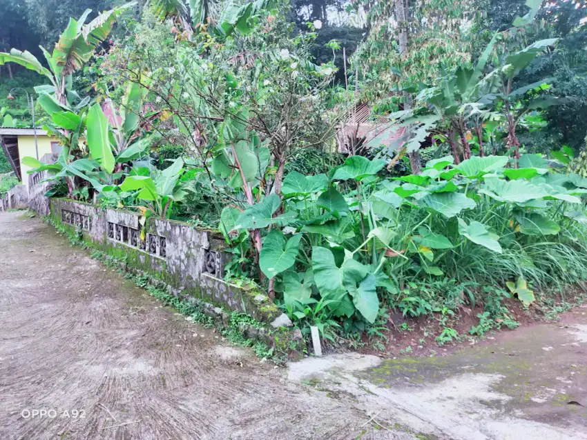 Tanah murah dekat pondok isykarima karangpandan