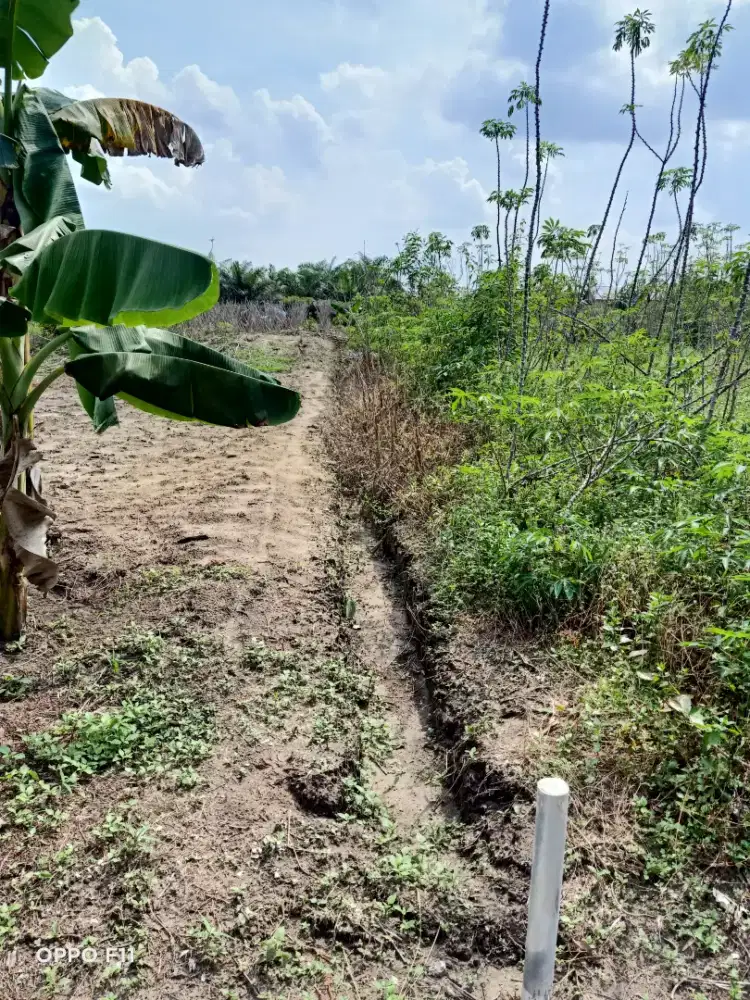 Tanah strategis SHM Dibawah NJOP Murah Jual Cepat Nego